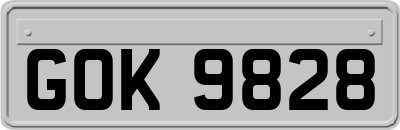 GOK9828