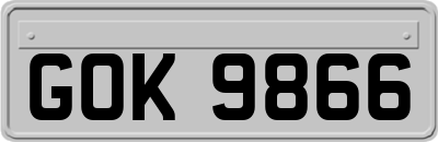 GOK9866