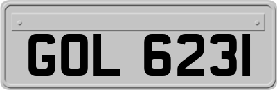 GOL6231