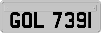 GOL7391