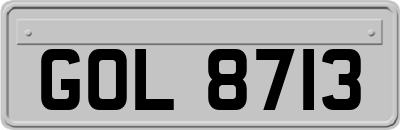 GOL8713