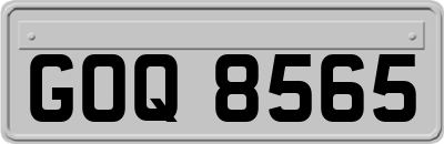 GOQ8565