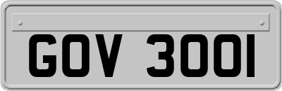 GOV3001