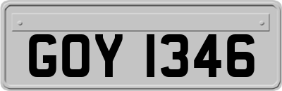 GOY1346