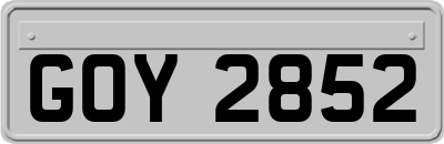 GOY2852