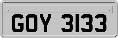 GOY3133