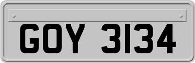 GOY3134