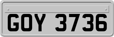 GOY3736