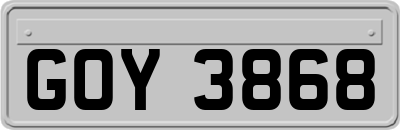 GOY3868