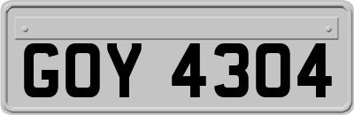 GOY4304