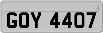 GOY4407