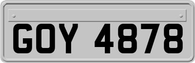 GOY4878
