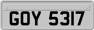 GOY5317