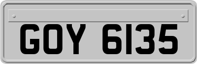 GOY6135