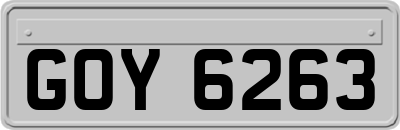 GOY6263