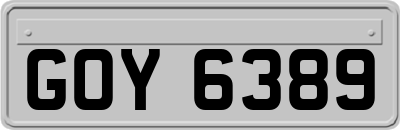 GOY6389