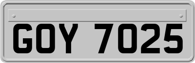 GOY7025