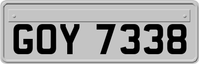 GOY7338