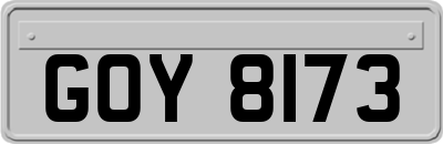 GOY8173
