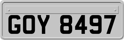 GOY8497