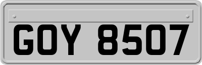 GOY8507