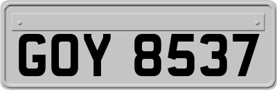 GOY8537