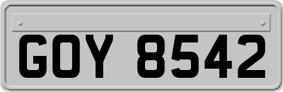 GOY8542