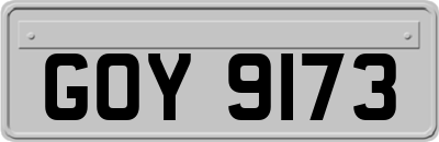 GOY9173