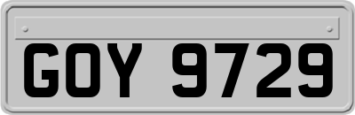 GOY9729