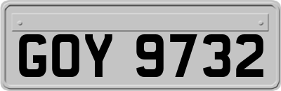 GOY9732