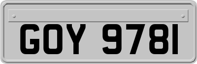 GOY9781