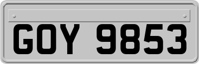 GOY9853