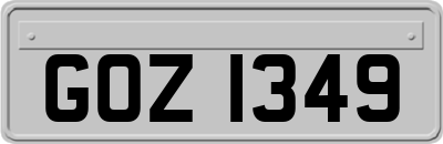 GOZ1349