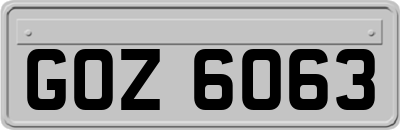 GOZ6063