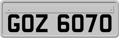 GOZ6070