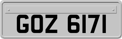 GOZ6171
