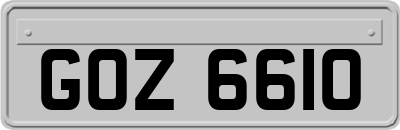 GOZ6610