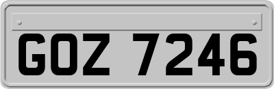 GOZ7246