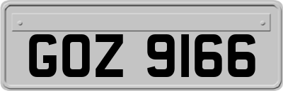 GOZ9166