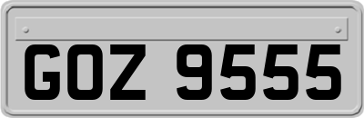 GOZ9555