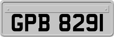 GPB8291