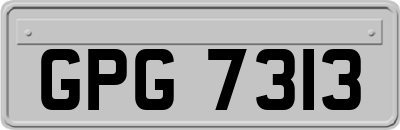 GPG7313