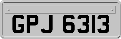 GPJ6313