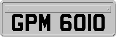 GPM6010