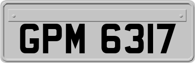GPM6317