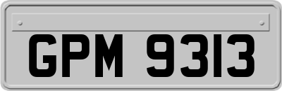 GPM9313