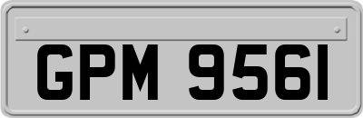 GPM9561