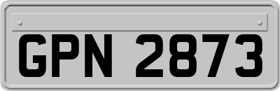 GPN2873