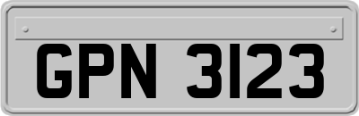 GPN3123