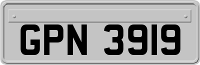 GPN3919